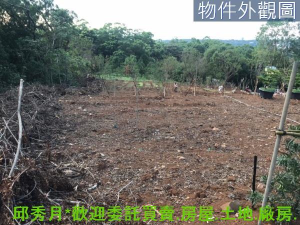 新北淡水農地-9