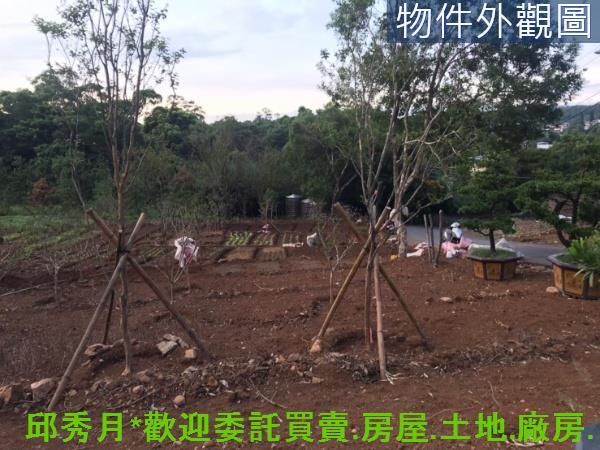新北淡水農地-10