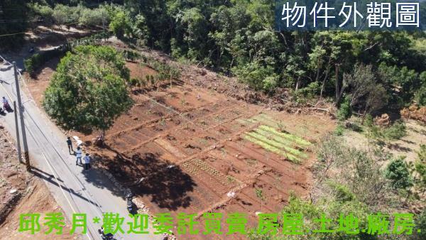 新北淡水農地-11