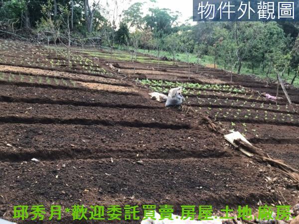 新北淡水農地-2
