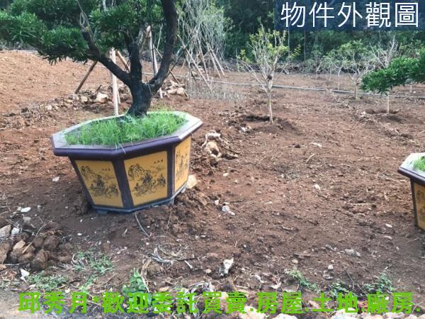 新北淡水農地-3