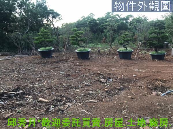 新北淡水農地-6