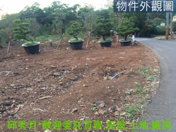 新北淡水農地-7