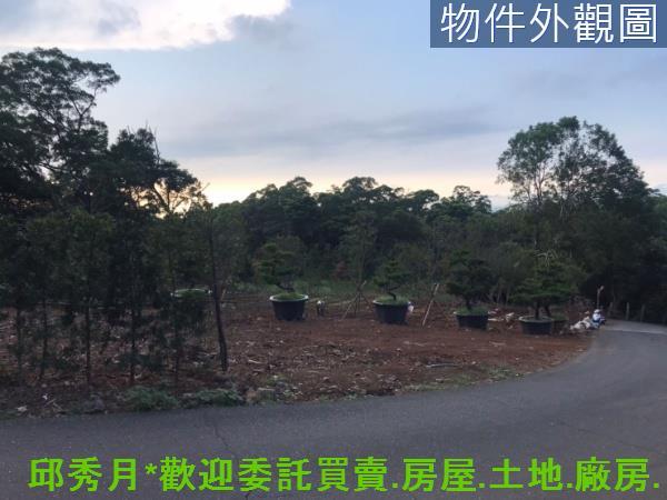 新北淡水農地-8