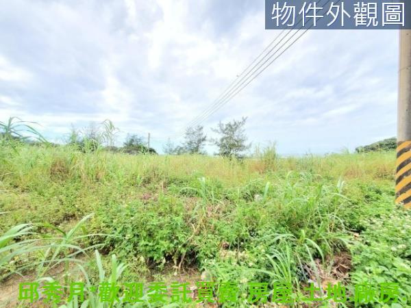 淡水農地-3