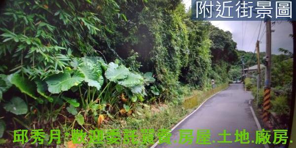 淡水林地-1