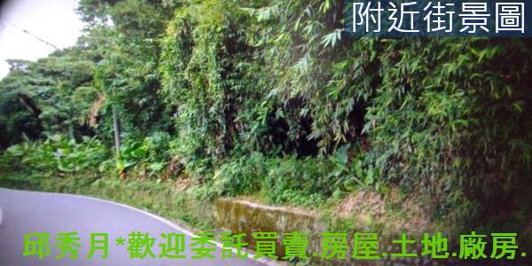 淡水林地-5
