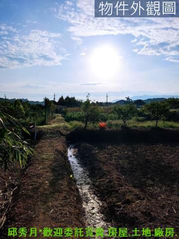 新北農地-3