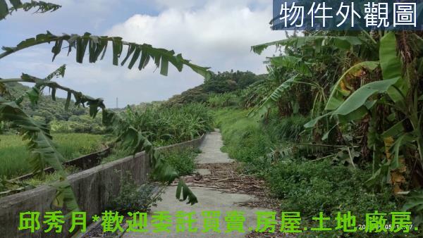三芝農地-2