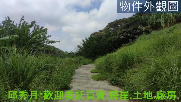 三芝農地-3