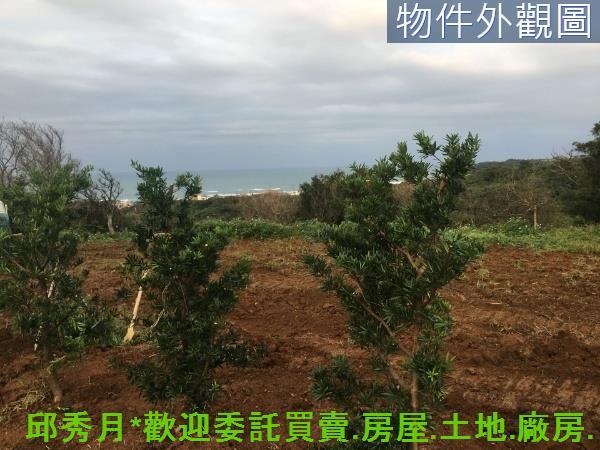 新北空百-3