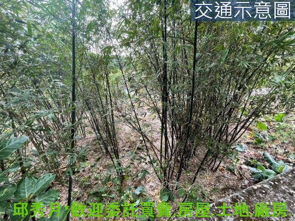 新北三芝農地-1