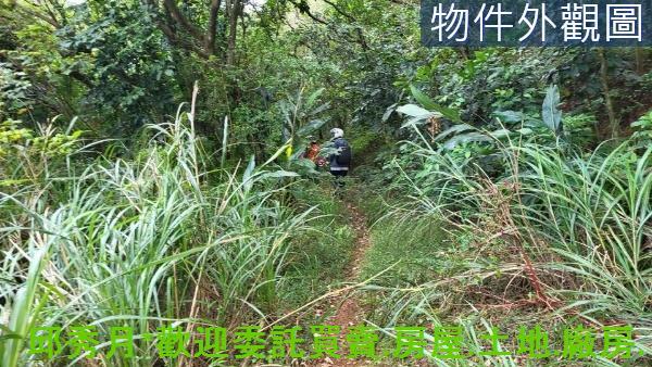新北三芝丁建-3