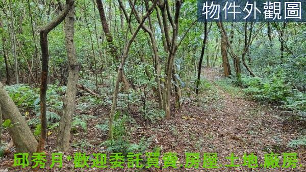 新北三芝丁建-4