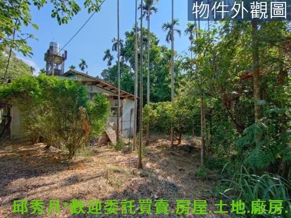 新北石門農地-9