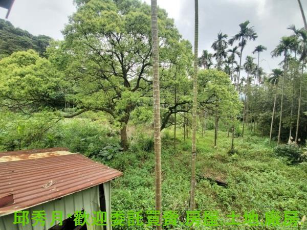 新北石門農地-10