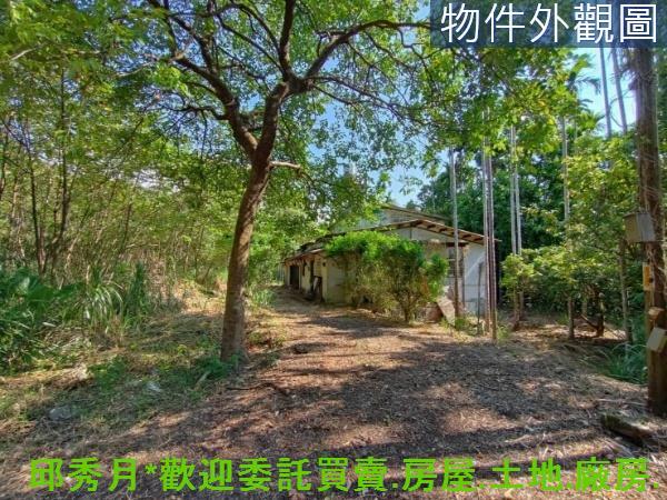 新北石門農地-0