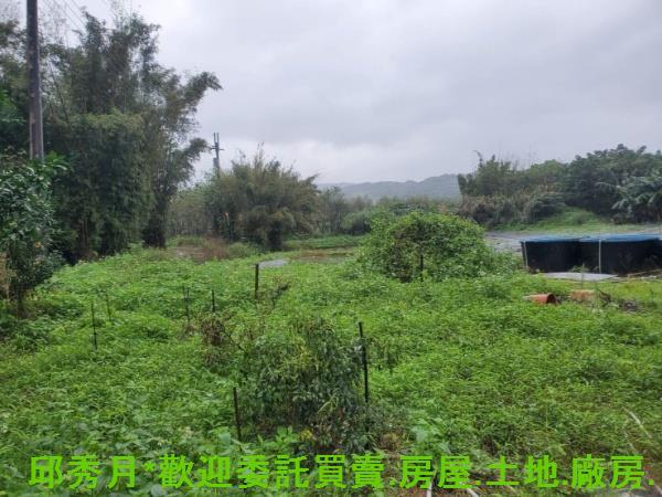 新北石門農地-1