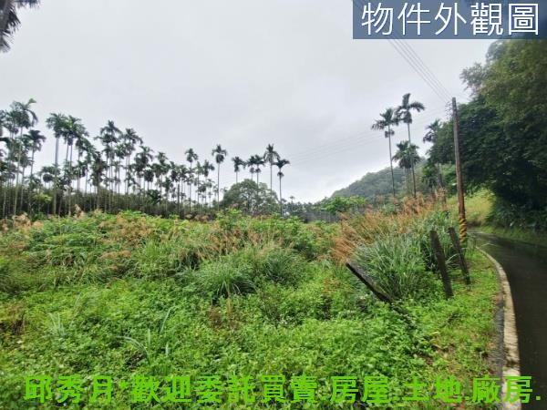 新北石門農地-3