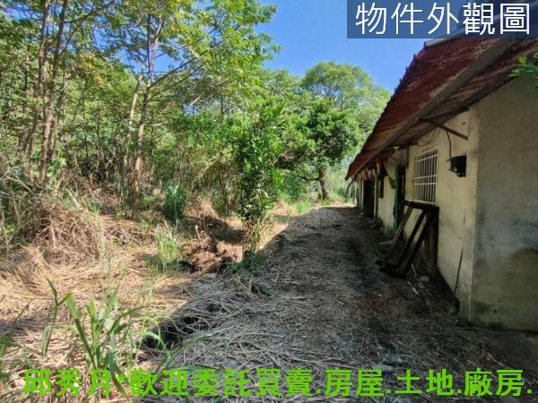 新北石門農地-4