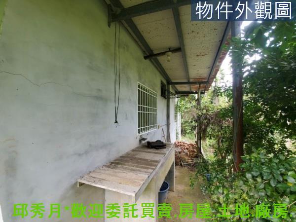 新北石門農地-6