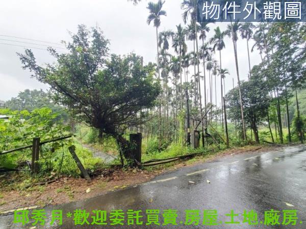 新北石門農地-7