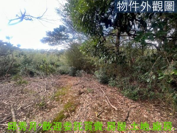 三芝農地-1