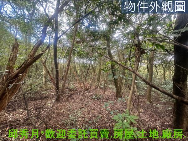 三芝農地-2
