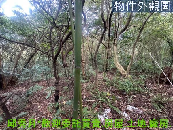 三芝農地-4