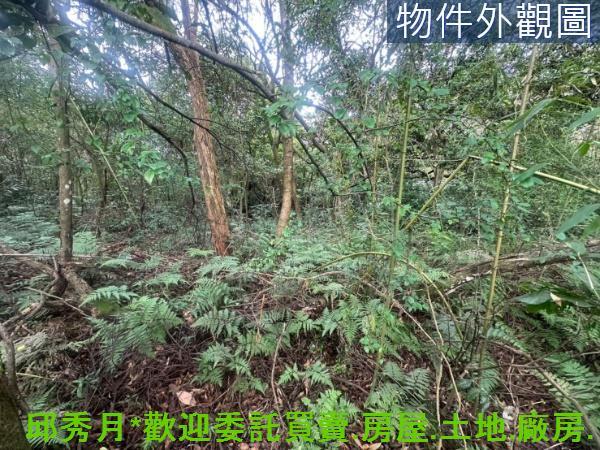 三芝農地-5
