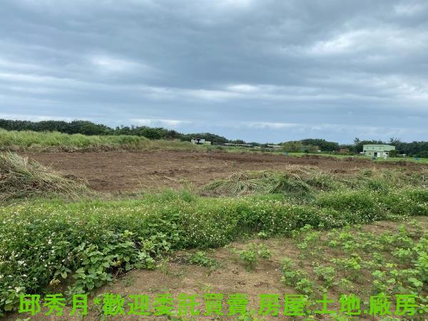 新北淡水農地-3