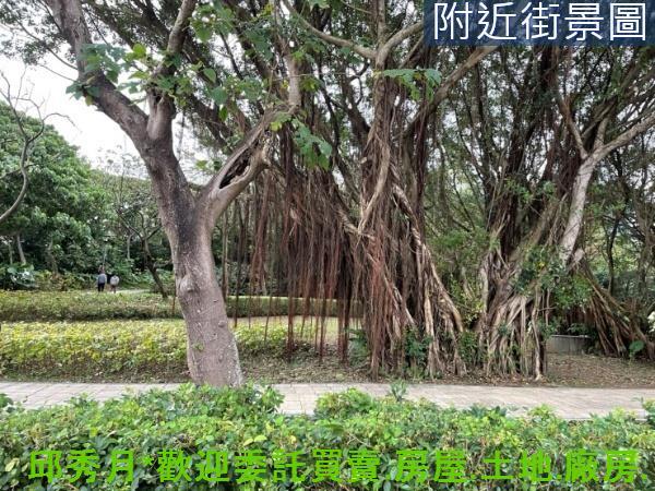 新北淡水都市計畫內-6