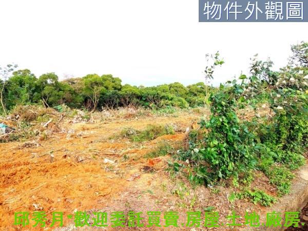 新北淡水農地-1