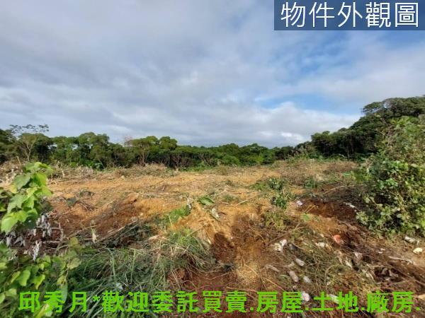 新北淡水農地-2