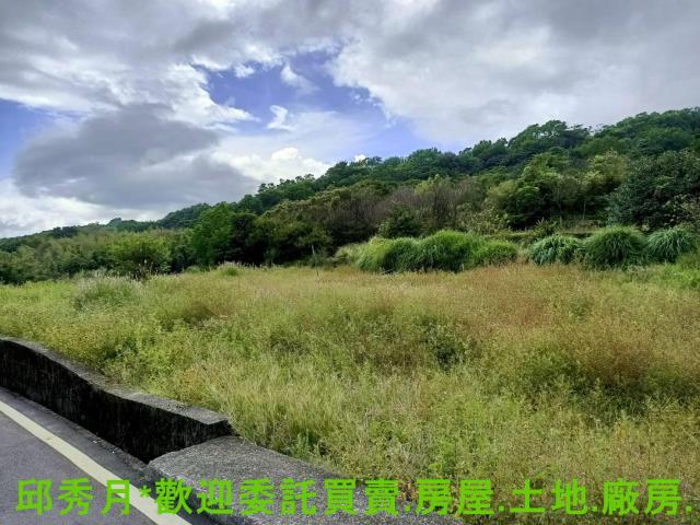 新北金山農地-0