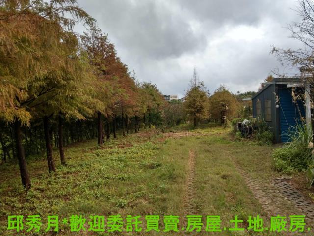新北淡水農地-13