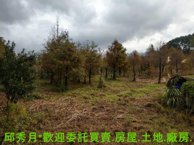 新北淡水農地-1