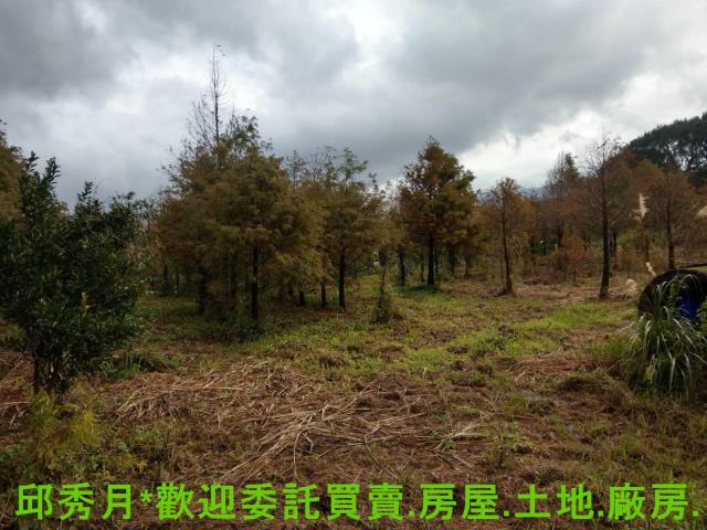 新北淡水農地-2