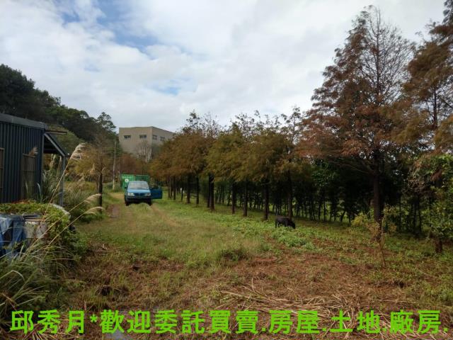 新北淡水農地-3