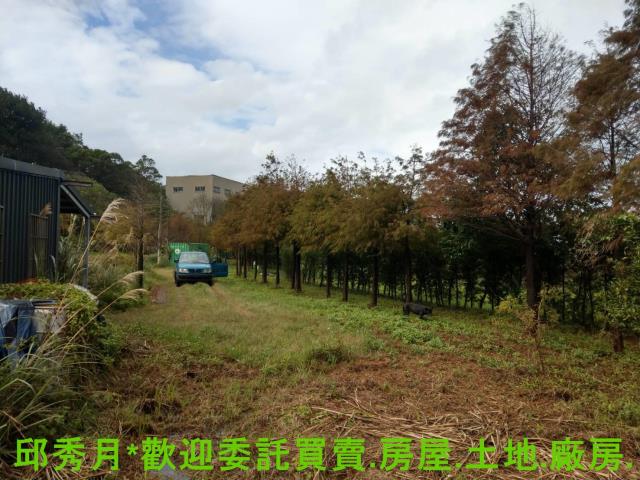 新北淡水農地-4