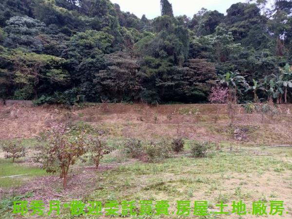 石門農地-3
