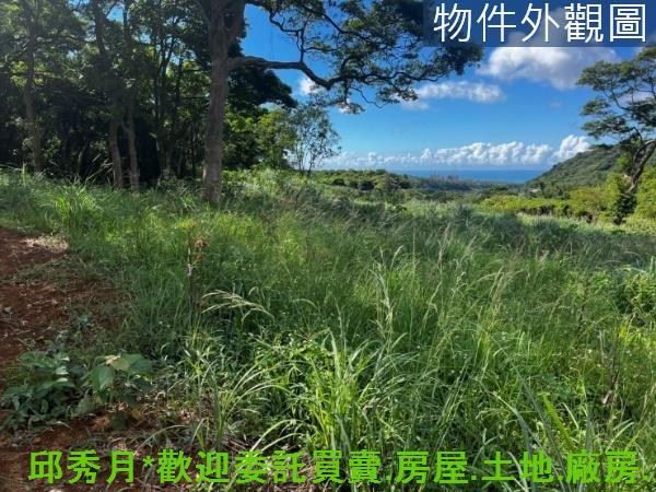 三芝農地-4