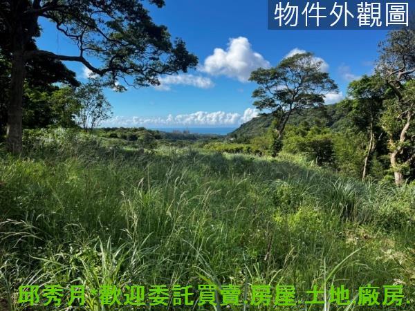 三芝農地-5