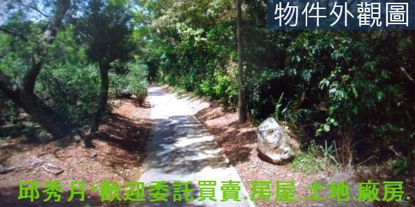 淡水農地-2