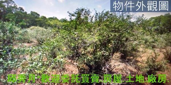 淡水農地-3