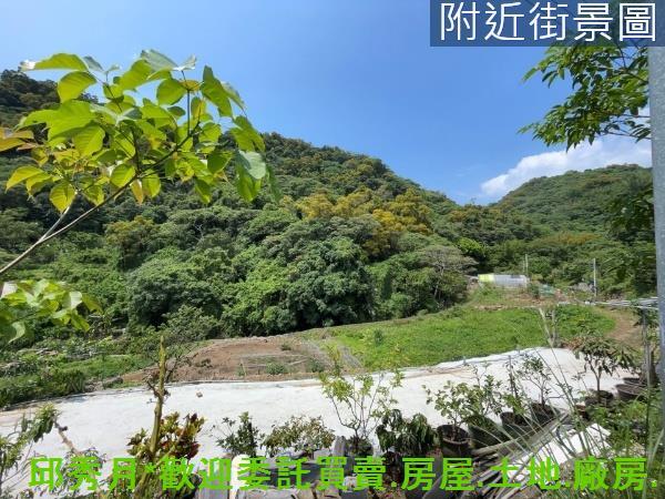 新北淡水農地-2