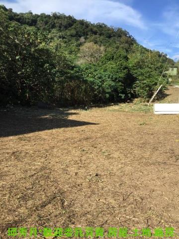 新北淡水農地-4