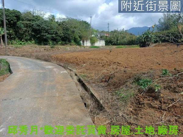 新北淡水農地-10