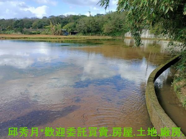 新北淡水農地-3