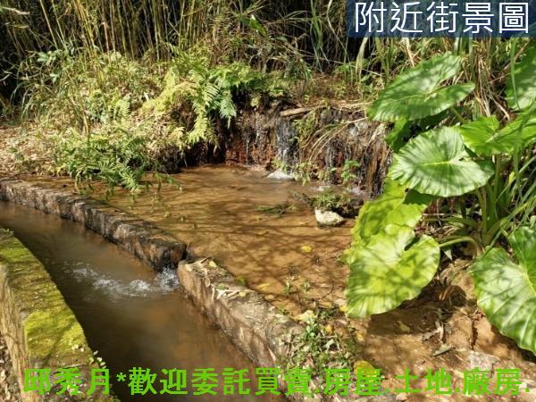 新北淡水農地-4